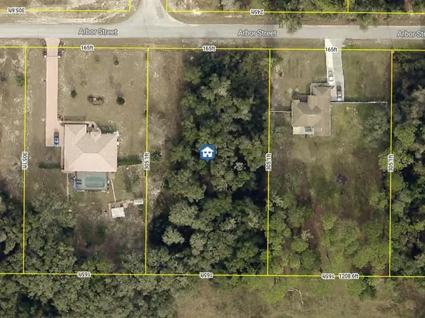 Arbor St Lot 11, Dade City, FL 33523