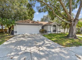 11224 Bramblebrush St, Tampa, FL 33624