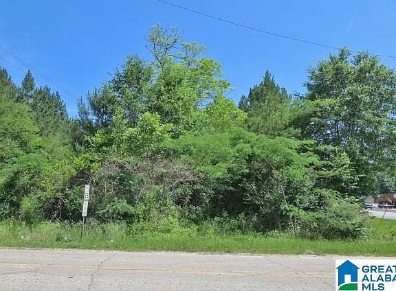 2nd image of 25/ACRE S Highway 431 #5