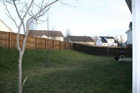 Backyard view 2