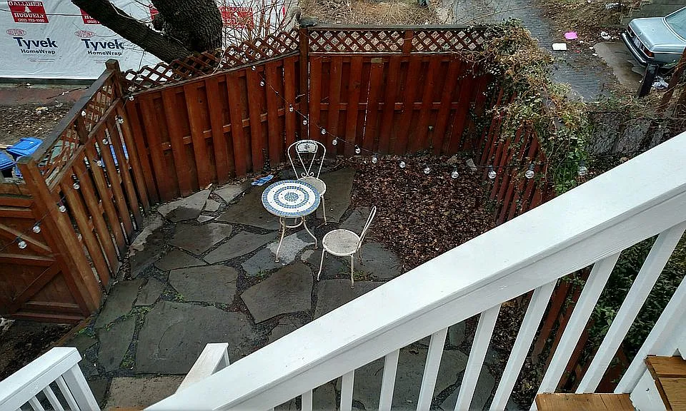Back yard