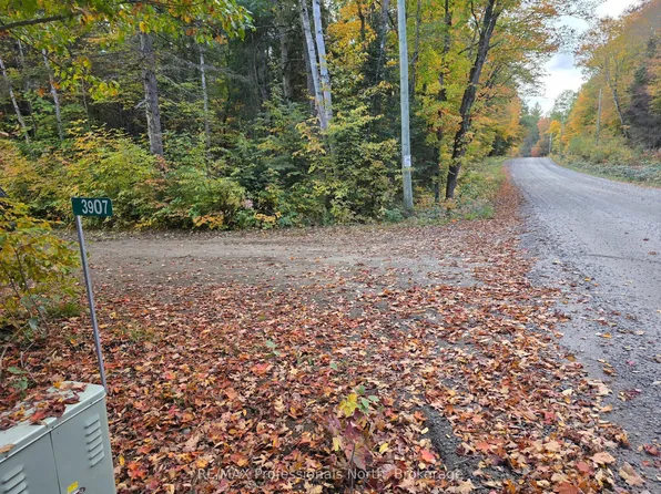 3907 Stisted Rd S, McMurrich/monteith, ON P0A 1Y0