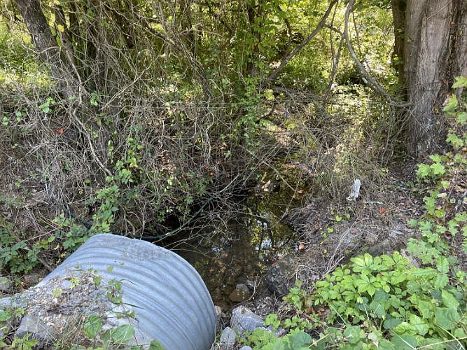 2nd image of County Road 44