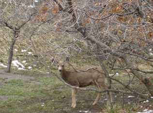 6301 Perry Park Blvd APT 11, Larkspur, CO 80118