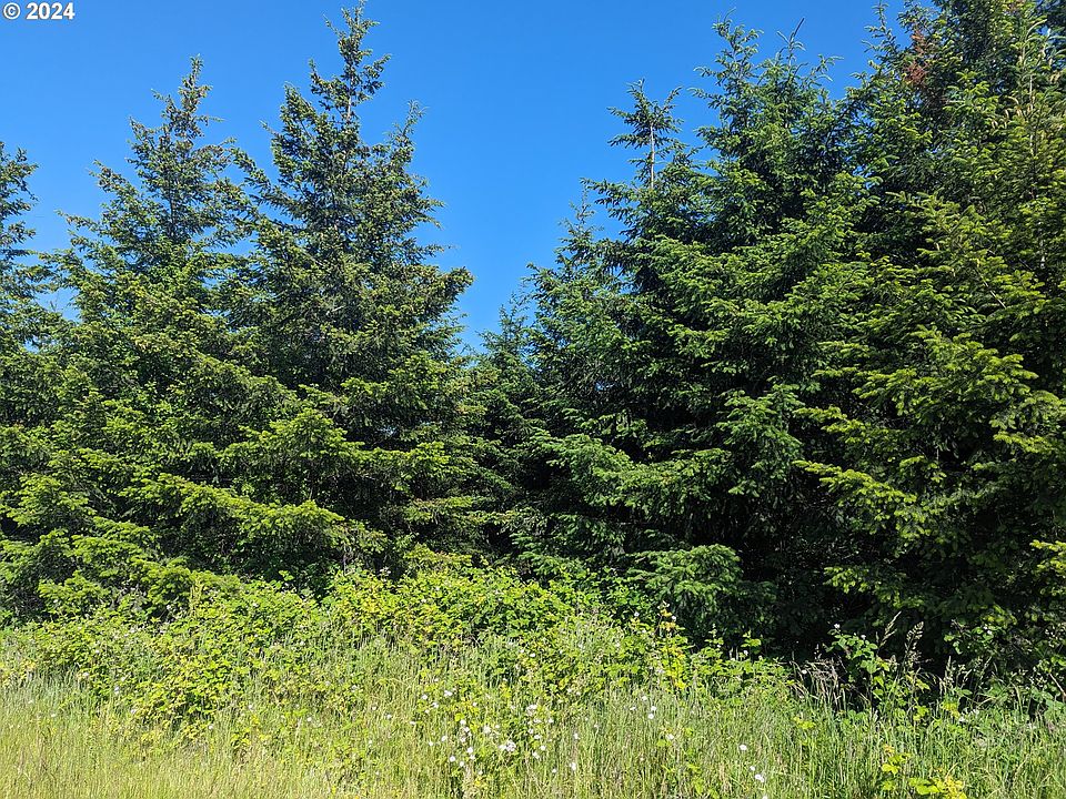 2nd image of Baker Creek Rd