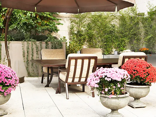 Sold by Sotheby's International Realty | media 36