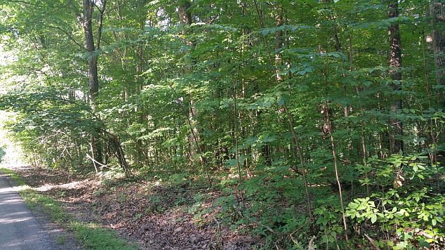 1st image of 1355 Mountain Top Ln