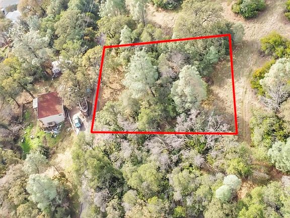 4th image of 12636 Lakeview Drive
