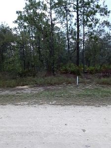 15286 Mottled Owl Rd, Weeki Wachee, FL, 34614