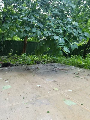 Rented by Tapiro Realty | media 10