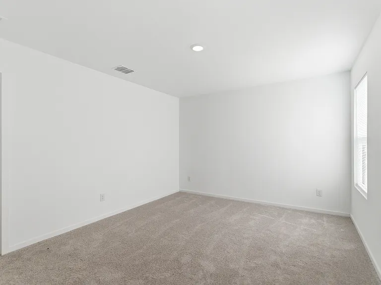 3120 Burmese St — Photo 21