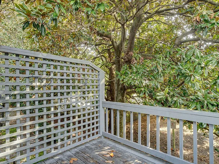 4155 Spirea Dr #D — Photo 11
