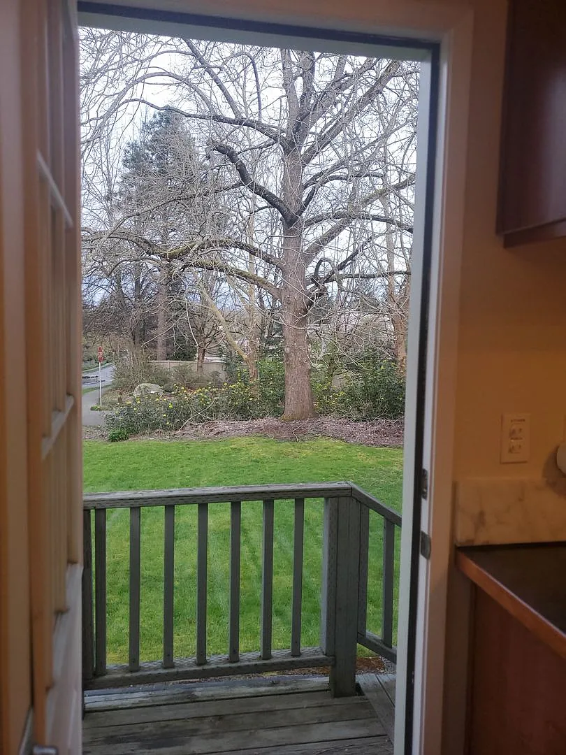 Apartment Availabile, near Children's Hospital and University of Washington — Photo 2