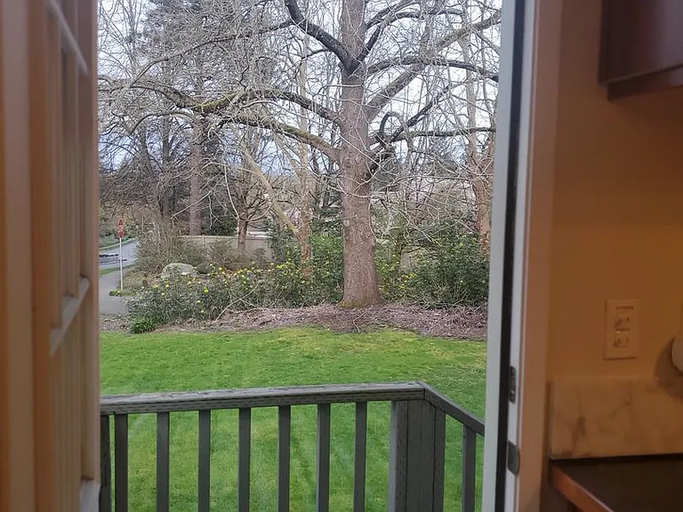 Apartment Availabile, near Children's Hospital and University of Washington — Photo 2