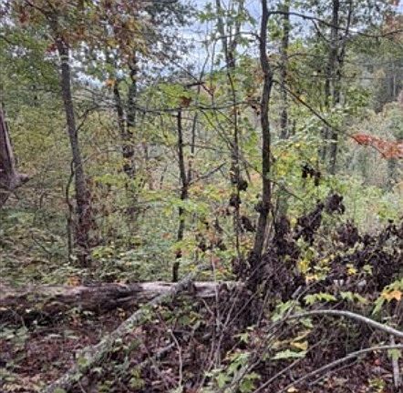 5th image of 0 Eversole Br #160 acres
