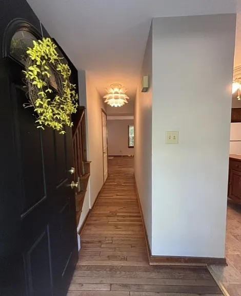 14604 Mill Spring Dr — Photo 2