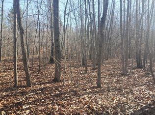 0 Mountain Creek Rd LOT 9, Green Bay, VA 23942