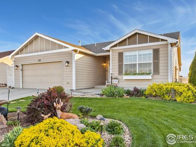 309 Linden Oaks Dr, Ault, CO, 80610