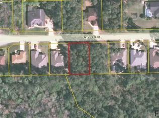 19 Edith Pope Dr, Palm Coast, FL 32164