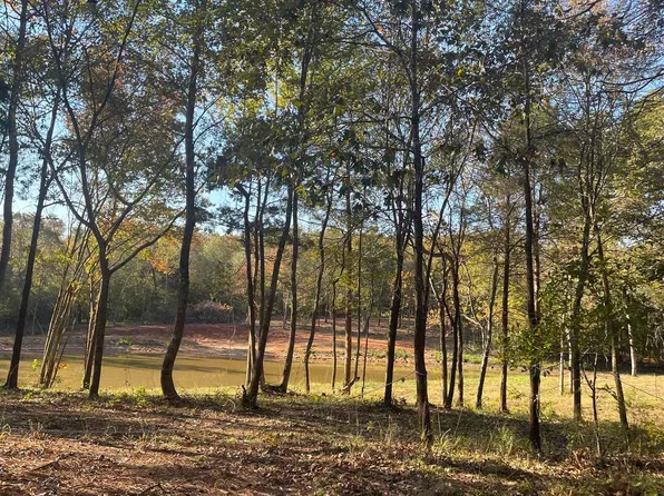 Woodchuck Rd, Pittsburg, TX 75686