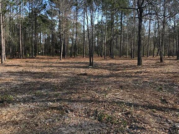 2nd image of 0 Holton Ln