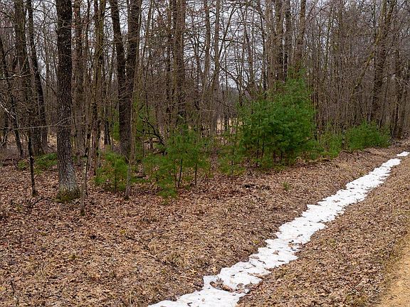 4th image of Lot 1 14 Ac Dover Drive