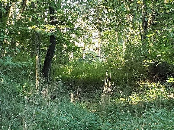 3rd image of 0 E Highway 328
