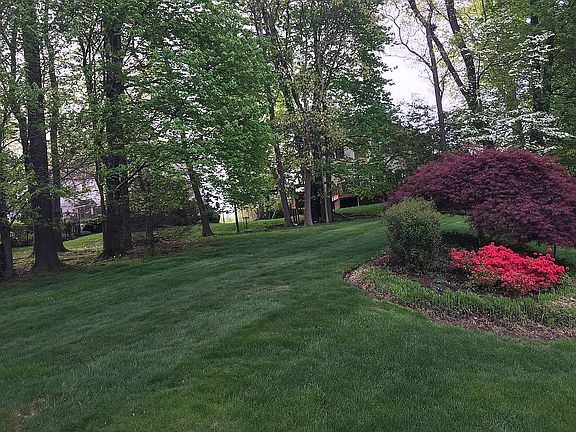 Beautiful Secluded Backyard