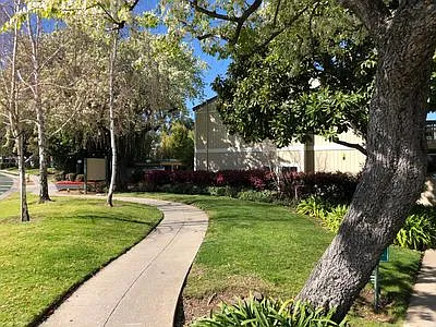 Live Oak Apartments — Photo 109