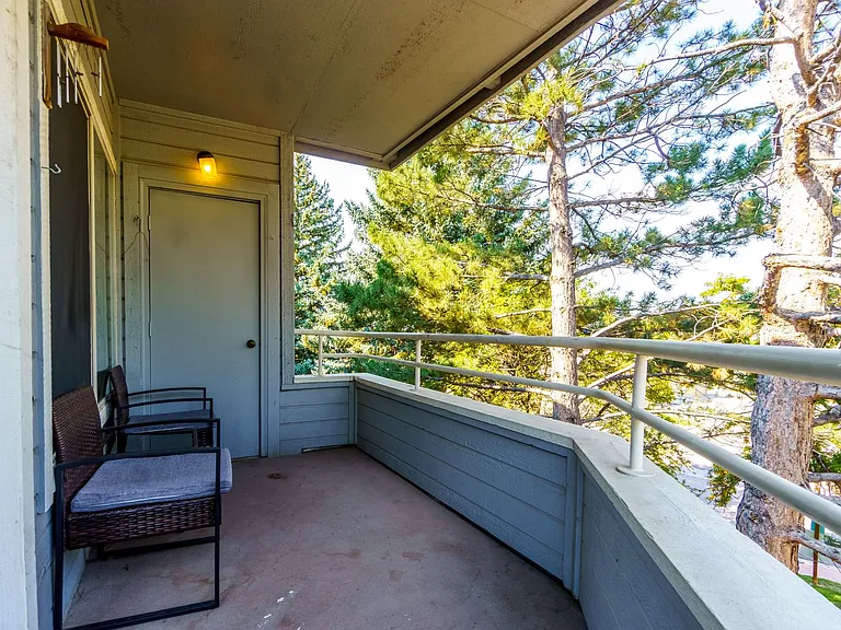 3684 Iguana Dr — Photo 15