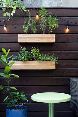 Sold by Compass | media 21