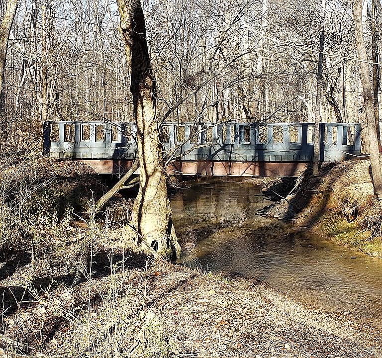 1st image of 1141 Sweetflag Ln