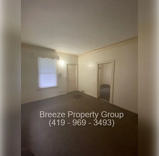 Photo 2 of 24 - 319 N Detroit Ave - Toledo, OH Building Photo - 319 N Detroit Ave