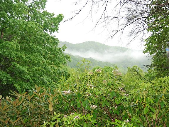 Bold Mountain view