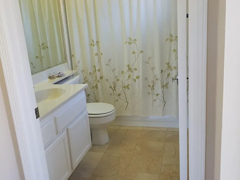 Guest bathroom