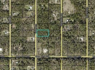 10340 Yeager Ave, Hastings, FL 32145
