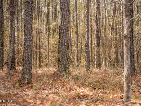 Highway 49, Mendenhall, MS 39114