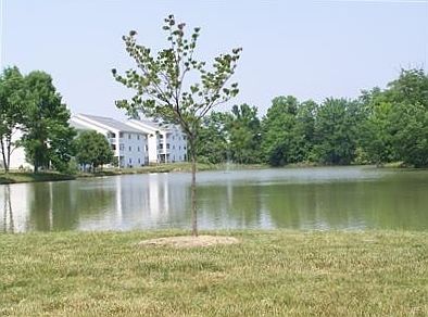 2nd image of 535 Arthur Ct APT 5