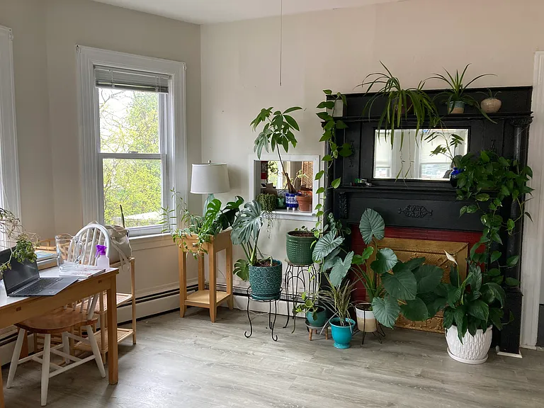 20 Doyle Ave #3 — Photo 3