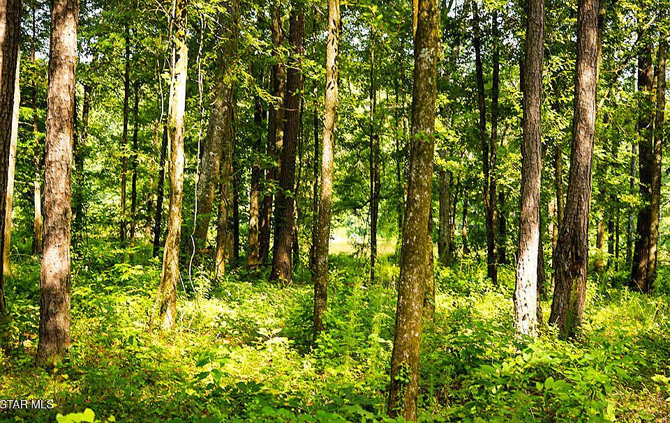 1st image of 3 Cypress Point