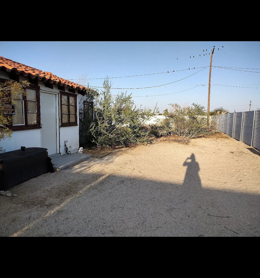 1 bed, 800 sqft, $1,100 — Photo 4