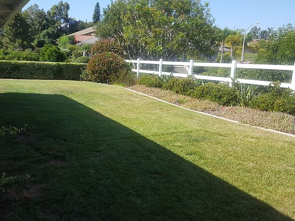 Back yard