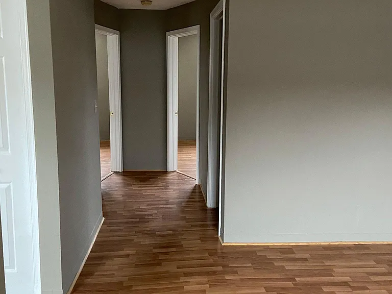 730 Clevio St #1 — Photo 5