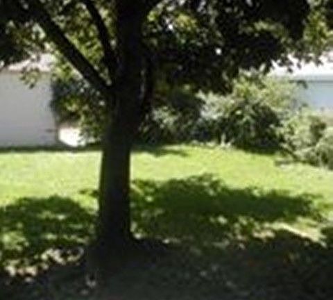 back yard
