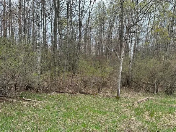 S Harrison Ave, Harrison, MI 48625