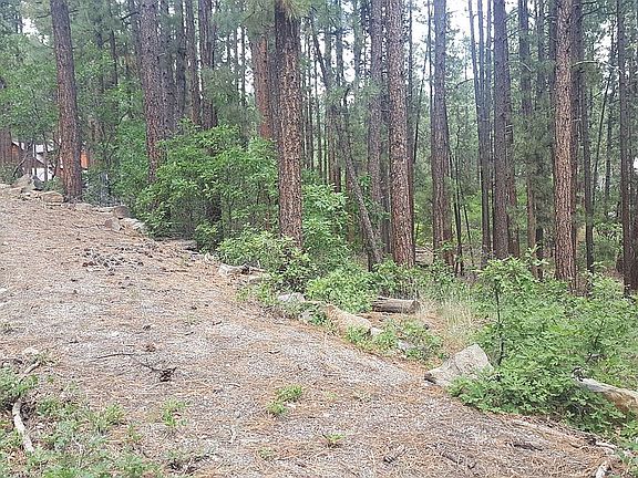 3rd image of 356 Elk Dr