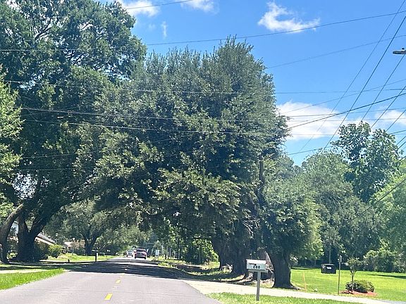 5th image of 149 E Butcher Switch Rd