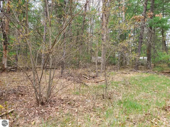 0 Silver Creek Dr, Prescott, MI 48756