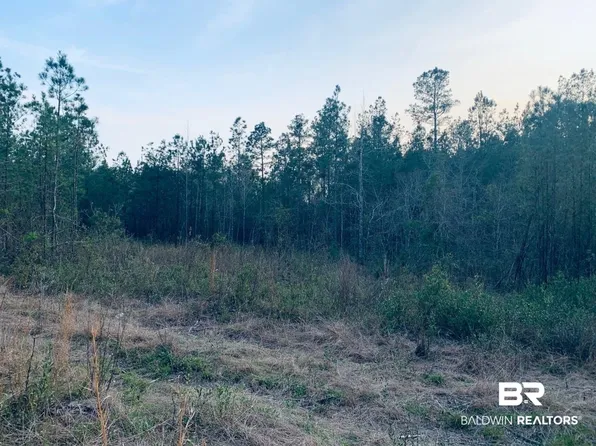 23180 Lonnie Hadley Rd, Perdido, AL 36562