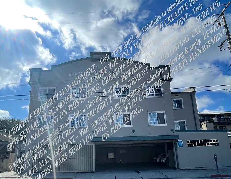 541 Wave St #15